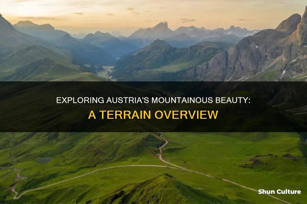 what is the terrain like in austria