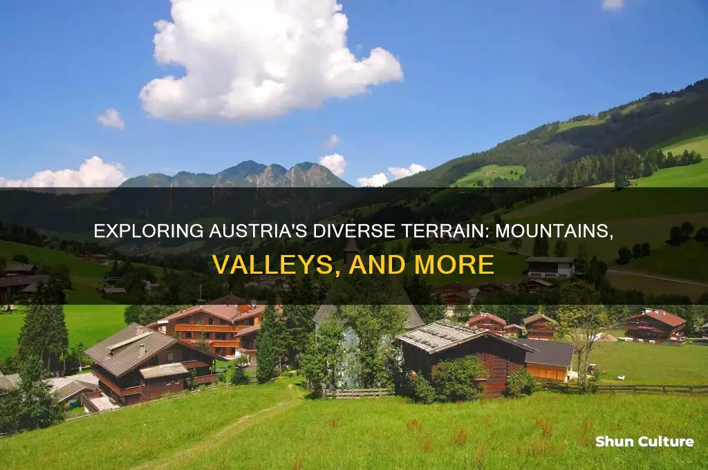 what is the terrain like in austria
