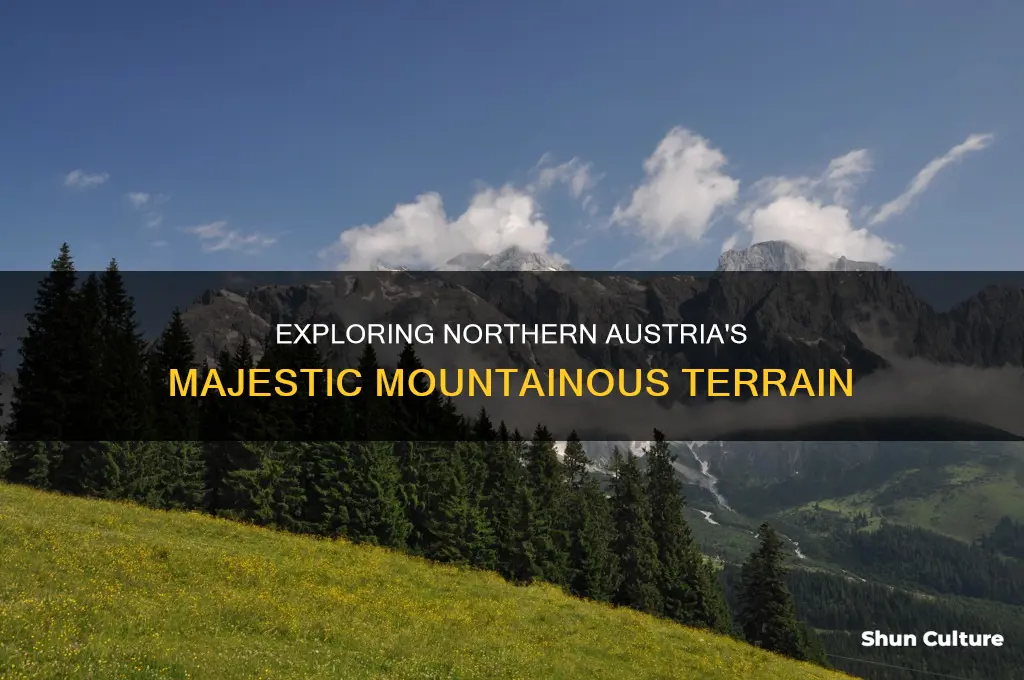 what is the terrain of norhtern austria