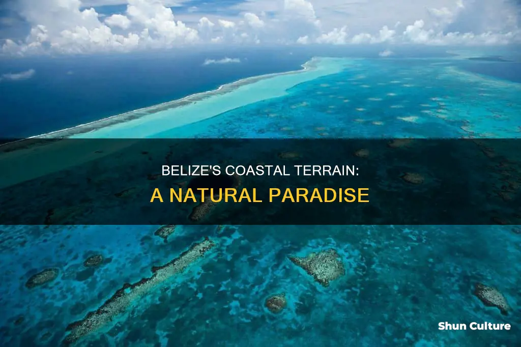 what is the terrain on the coast of belize