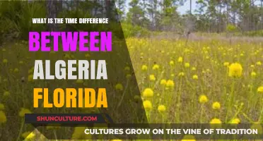Algeria to Florida: Understanding the Time Zone Difference Explained