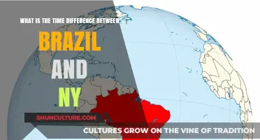 Brazil vs. NY: Understanding the Time Zone Difference Explained