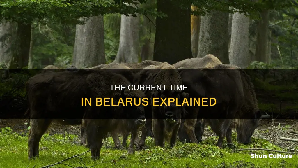 what is the time in belarus right now