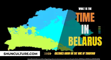 The Time in Belarus: Understanding the When and Why