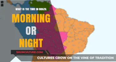 Brazil Time Zones: Morning or Night? A Quick Guide