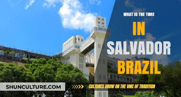 Current Time in Salvador, Brazil: A Quick Guide for Travelers