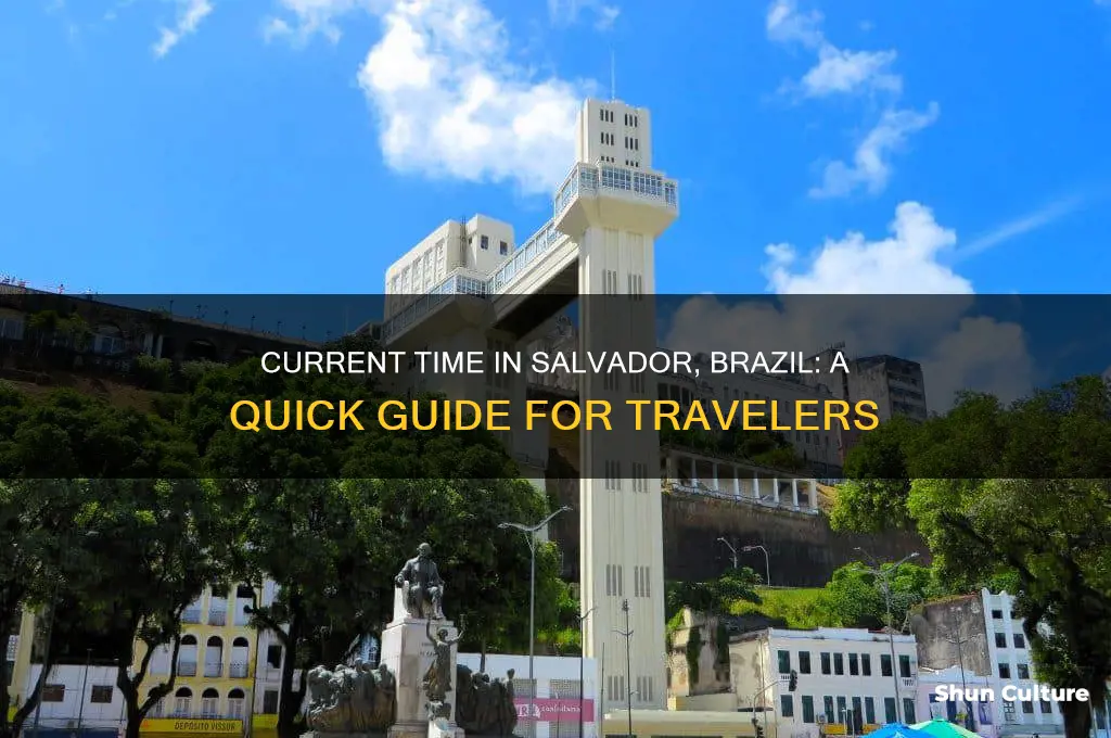 what is the time in salvador brazil