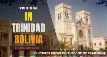 The Time in Trinidad, Bolivia: A Quick Guide