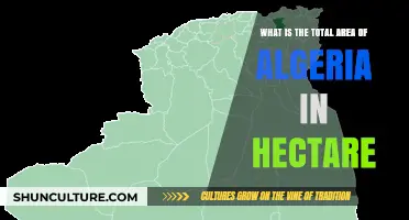 Exploring Algeria's Vast Land: Total Area in Hectares Revealed