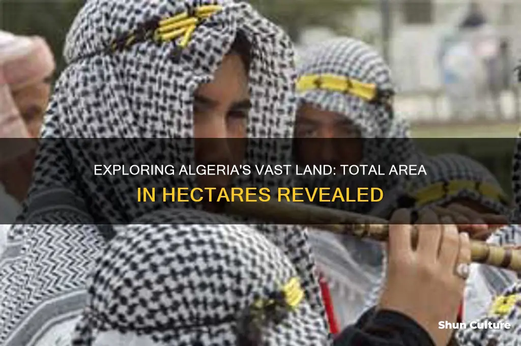 what is the total area of algeria in hectare