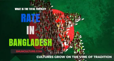 Understanding Bangladesh's Total Fertility Rate: Trends and Insights