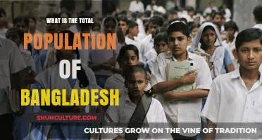 Exploring Bangladesh's Population: Current Figures and Growth Trends