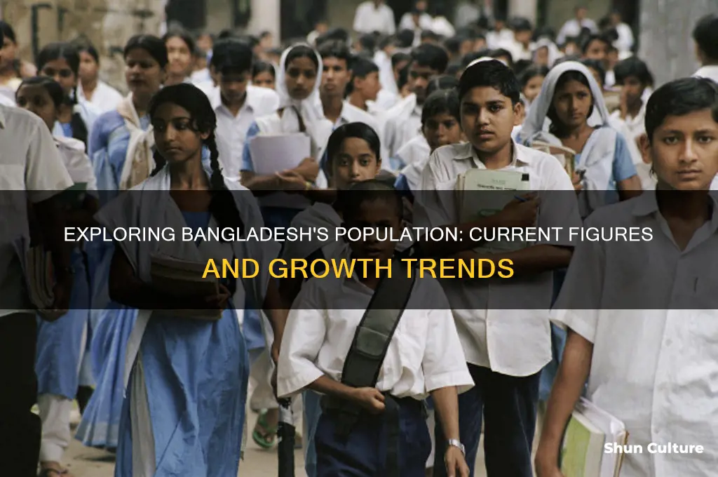 what is the total population of bangladesh
