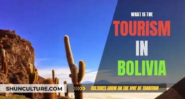 Exploring Bolivia: A Comprehensive Travel Guide