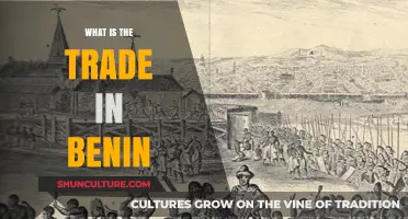 Exploring Benin's Vibrant Trade Scene: A Comprehensive Overview
