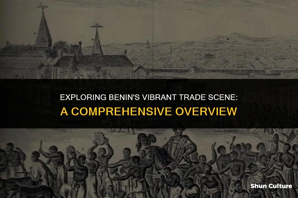 what is the trade in benin