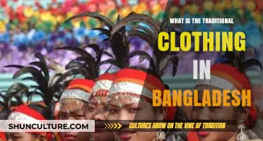 Exploring Bangladesh's Traditional Clothing: A Cultural Journey Through Fabrics and Styles