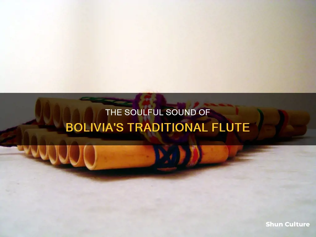 what is the traditional flute called in bolivia