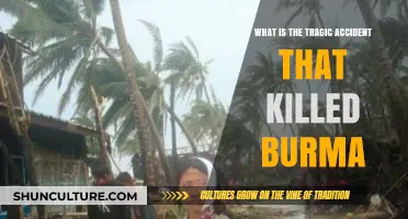 The Tragic Cyclone That Devastated Burma: A Look Back