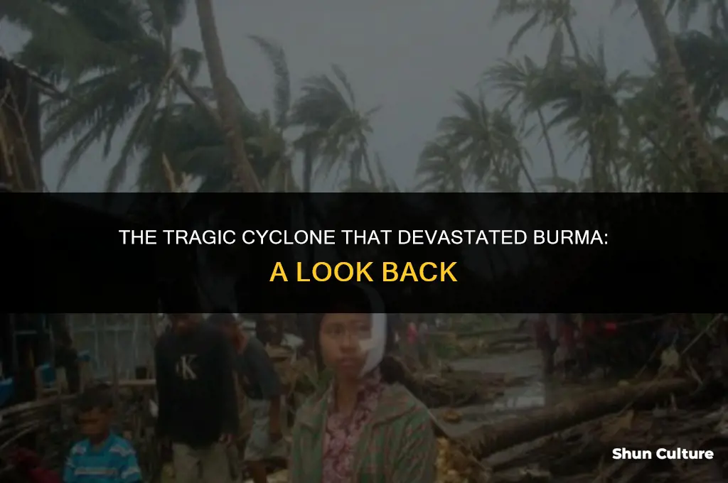 what is the tragic accident that killed burma