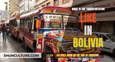 Exploring Bolivia: Transport Options and Challenges