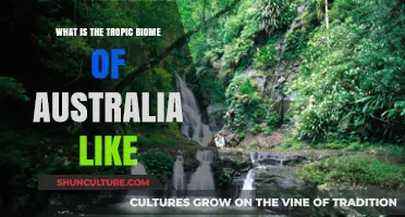 Exploring Australia's Vibrant Tropic Biome: Climate, Wildlife, and Unique Ecosystems