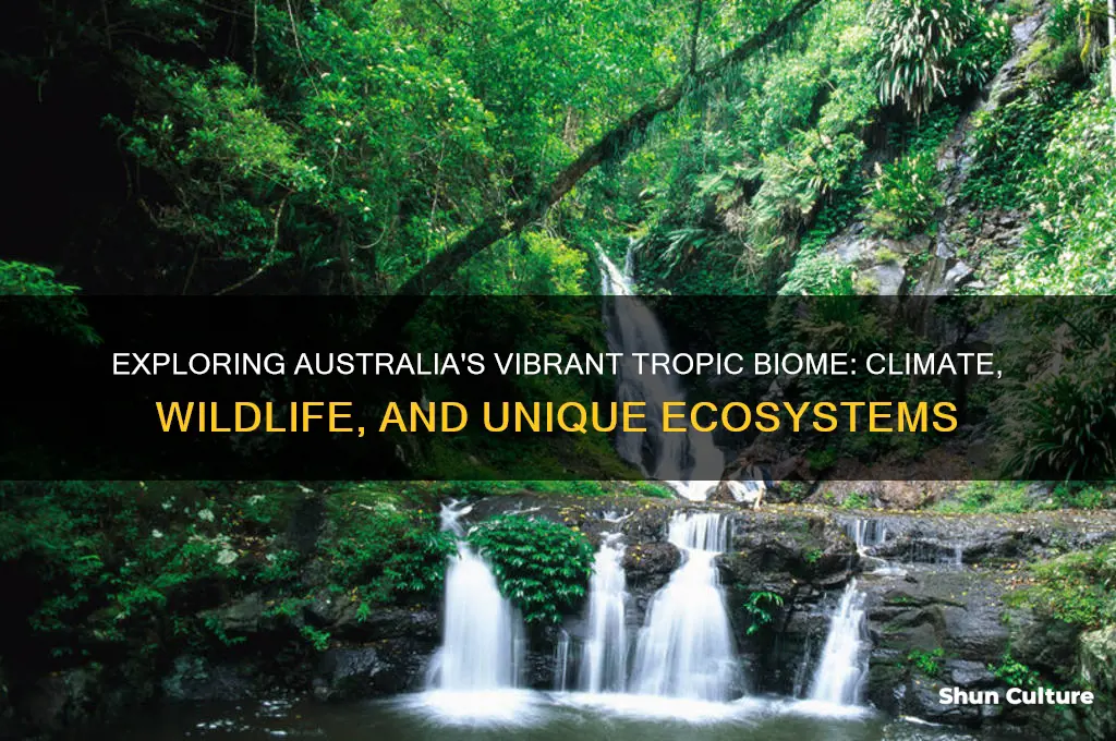 what is the tropic biome of australia like