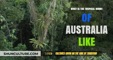 Exploring Australia's Vibrant Tropical Biome: Climate, Wildlife, and Unique Ecosystems