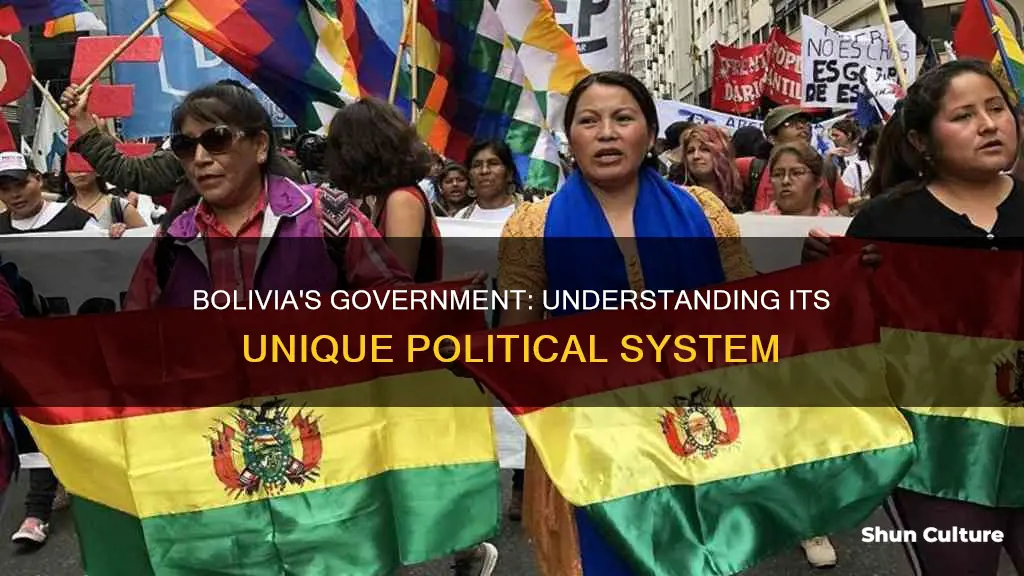 what is the type of government of bolivia