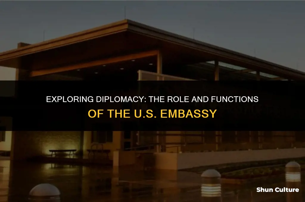 what is the u.s. embassy