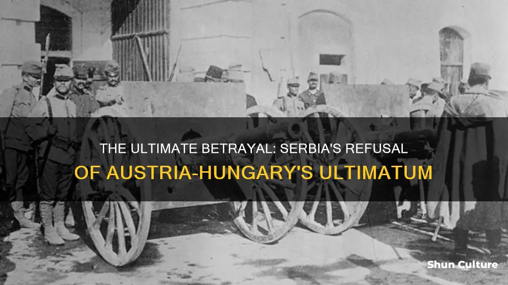 what is the ultimatum serbia refused from austria hungary