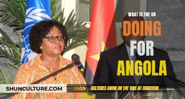 UN's Efforts in Angola: A Comprehensive Overview