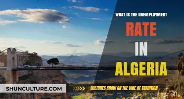 Understanding Algeria's Current Unemployment Rate: Trends and Economic Insights