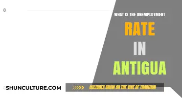 Understanding Antigua's Current Unemployment Rate: Trends and Insights