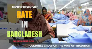 Understanding Bangladesh's Current Unemployment Rate: Trends and Insights