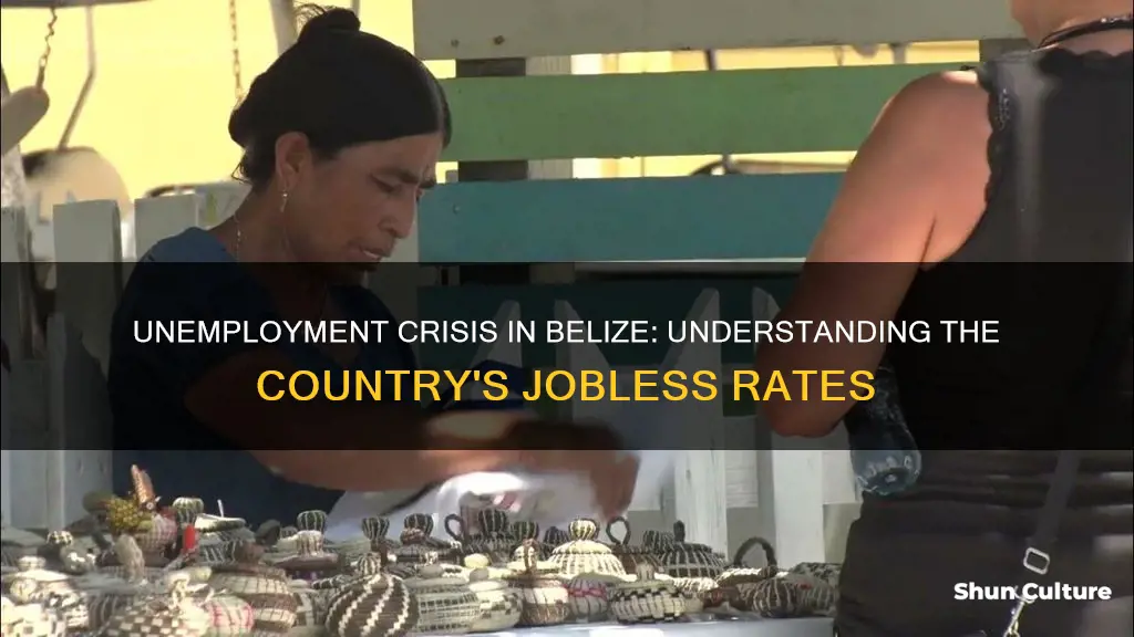 what is the unemployment rate in belize