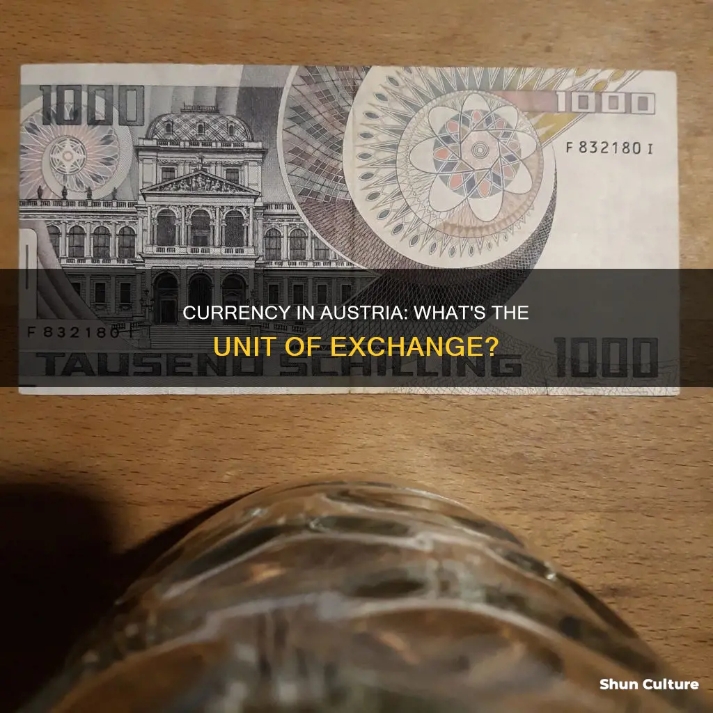 what is the unit of currency in austria