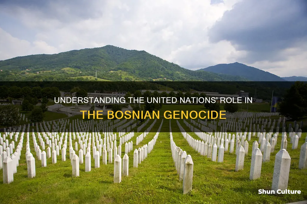 what is the untied nation of the bosnian genocide