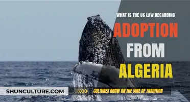 Adopting from Algeria: Understanding US Legal Requirements and Processes