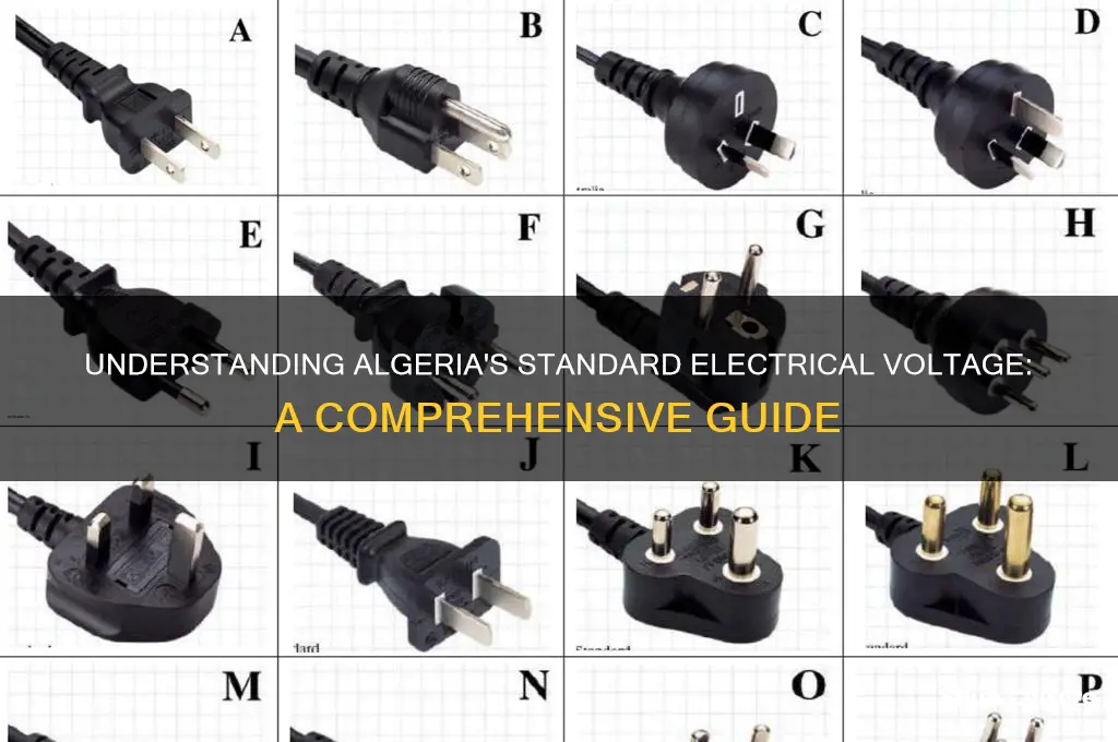 what is the voltage in algeria