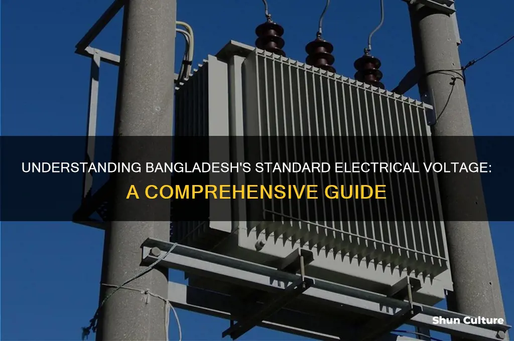 what is the voltage in bangladesh