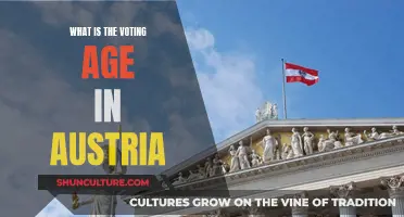 Austria's Voting Age: A Guide to Civic Participation