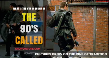 The Bosnian War: Understanding the 1990s Conflict and Its Legacy