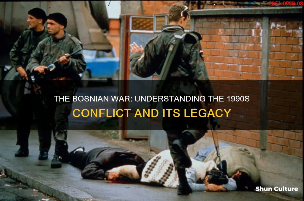 what is the war in bosnia in the 90