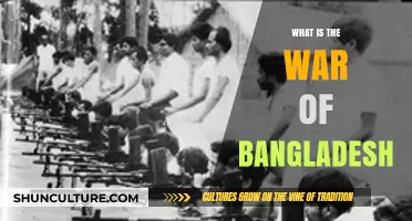 The 1971 Bangladesh Liberation War: Causes, Conflict, and Independence