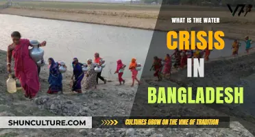Bangladesh's Water Crisis: Causes, Impacts, and Urgent Solutions Needed