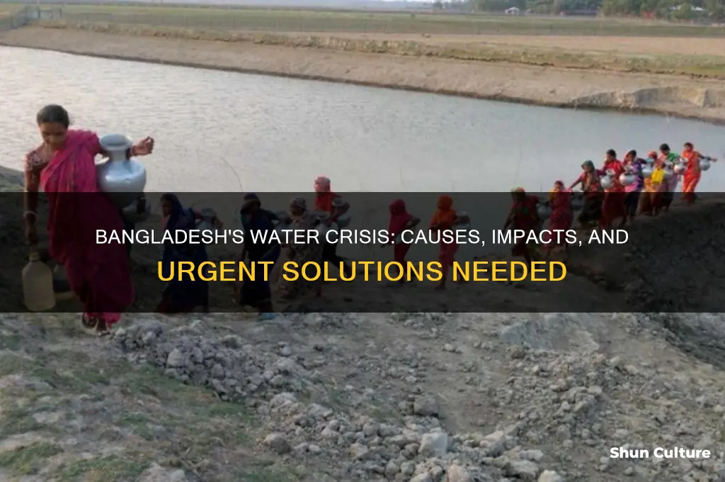 what is the water crisis in bangladesh
