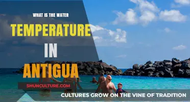 Antigua's Water Temperature: A Guide for Swimmers and Divers