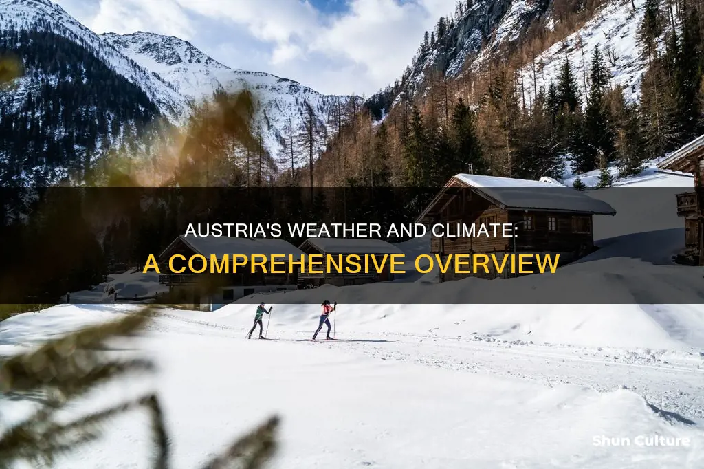 what is the weather and climate like in austria
