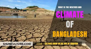 Exploring Bangladesh's Weather and Climate: Patterns, Seasons, and Impacts